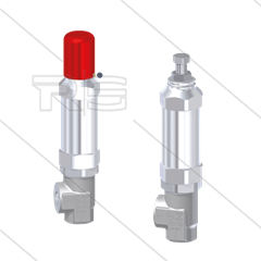 VS1100 - veiligheidsventiel - RVS303 - 1000 Bar - 40 l/min - max 100°C - In: 3/8"bi - Bypass: 3/8"bi