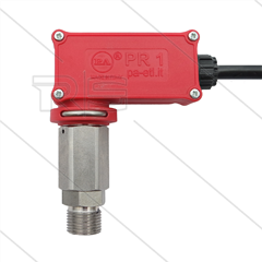 PR1 - Drukschakelaar - RVS - 3/8" bu - inschakeldruk 45 Bar - max 600 Bar - (zwarte markering)